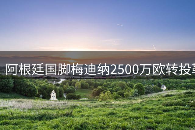 阿根廷国脚梅迪纳2500万欧转投勒沃库森，德甲劲旅防线再添强援